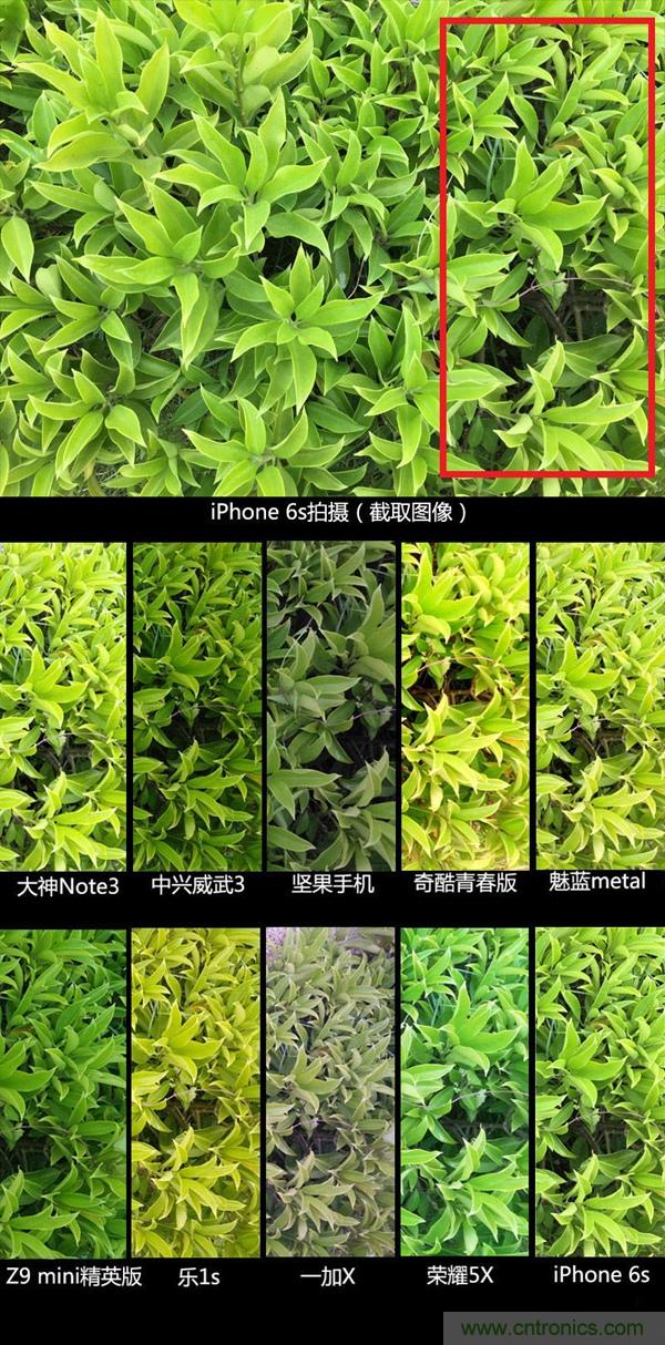 2015年9款千元智能手機橫評：誰才是紅海霸主？