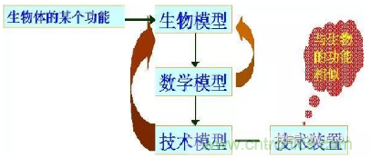 仿生傳感器的定義、原理、分類及應(yīng)用